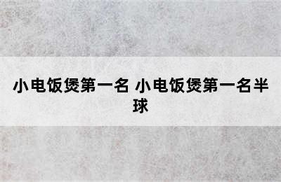 小电饭煲第一名 小电饭煲第一名半球